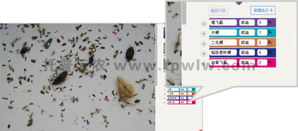 儀器識(shí)別統(tǒng)計(jì)界面 儀器識(shí)別統(tǒng)計(jì)界面